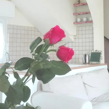 Ildi's Apartment *