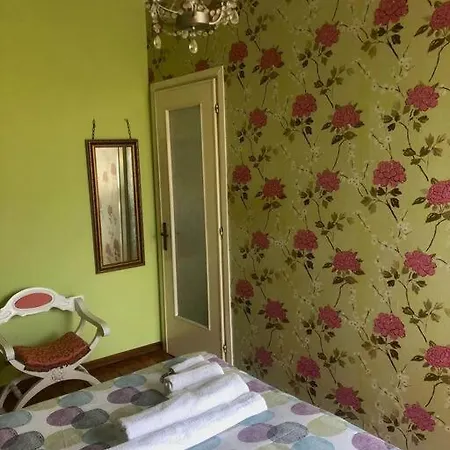 Ildi's 塞里亚泰
